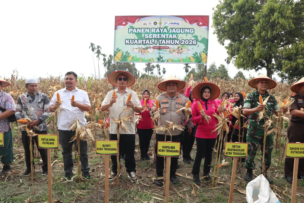 Polres Aceh Tenggara Laksanakan Panen Raya Jagung Serentak Kuartal I Tahun 2026