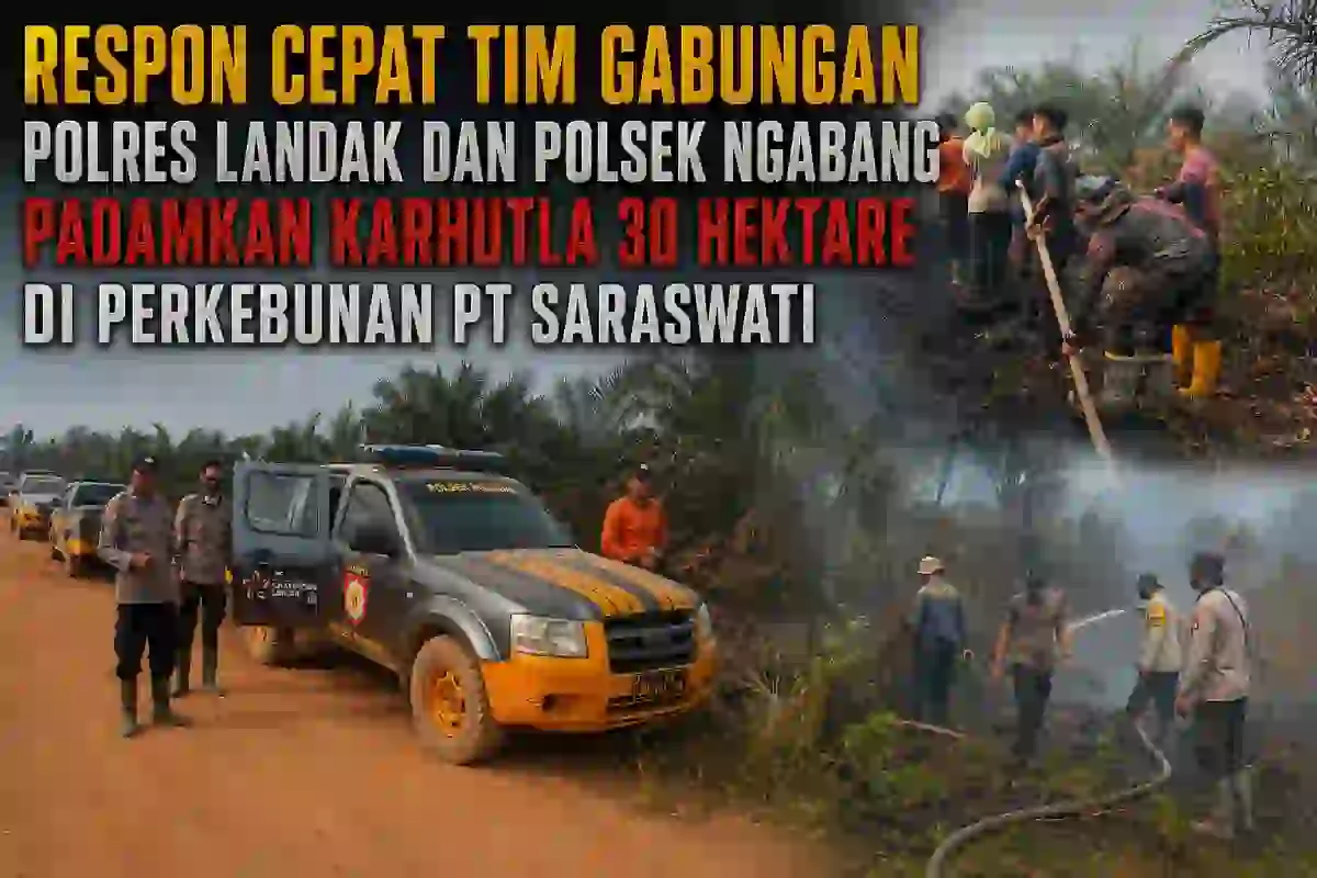 Respon Cepat Tim Gabungan Polres Landak Dan Polsek Ngabang Padamkan Karhutla 30 Hektare di Perkebunan PT Saraswati.