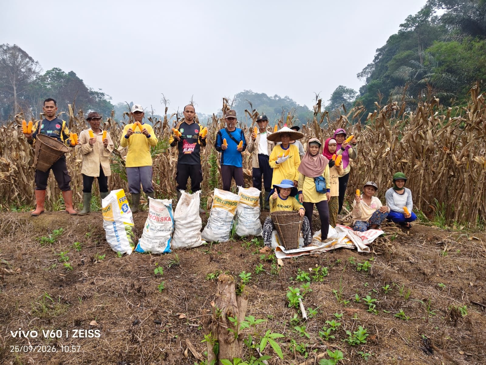 Panen Jagung di Meranti Tembus 5 Ton, Polsek Dorong Petani Terus Produktif.